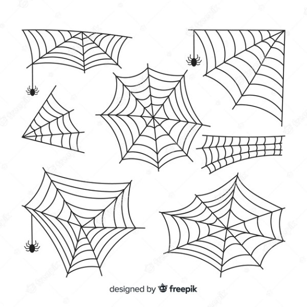 Поэтапное рисование паутины