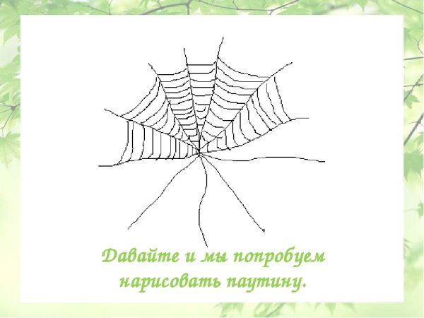Презентация рисуем паутину