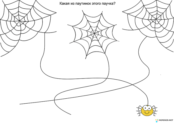 Паутина задание для дошкольников