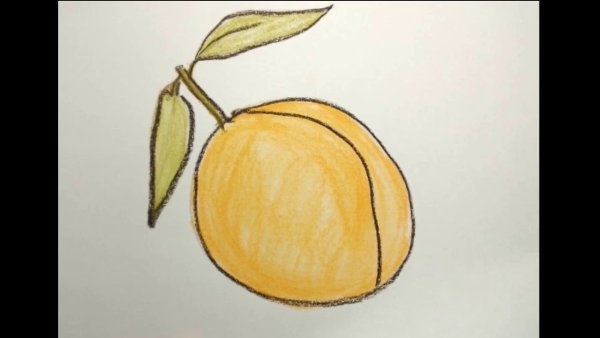 Персик карандашом