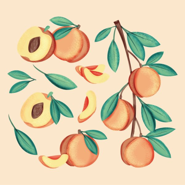 Поэтапное рисование овощей и фруктов