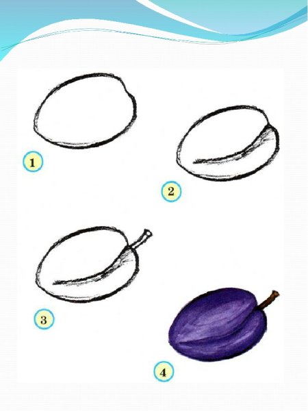 Персик карандашом