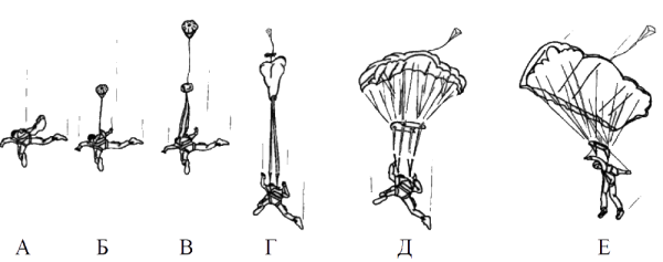 Стабилка д10
