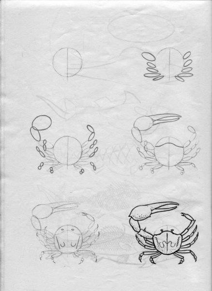 Поэтапное рисование краба