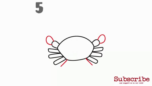 Крабы схемы для рисования для детей