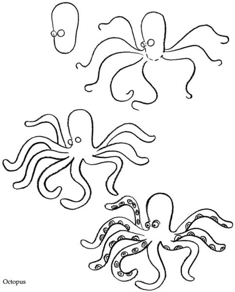 Поэтапный рисунок краба