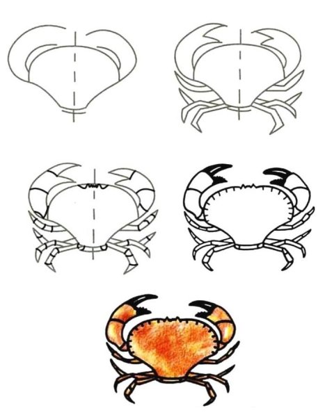 Рисунок краба для срисовки