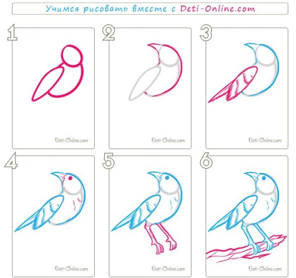 Как нарисовать соловья поэтапно