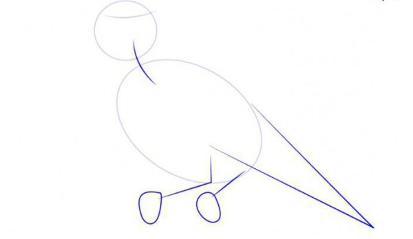 Жаворонок рисунок для детей поэтапно