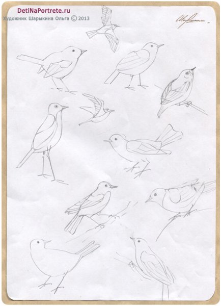 Жаворонок поэтапное рисование