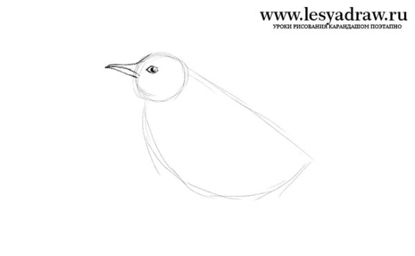 Нарисовать жаворонка карандашом