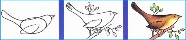 Схема рисования весенней птички для детей