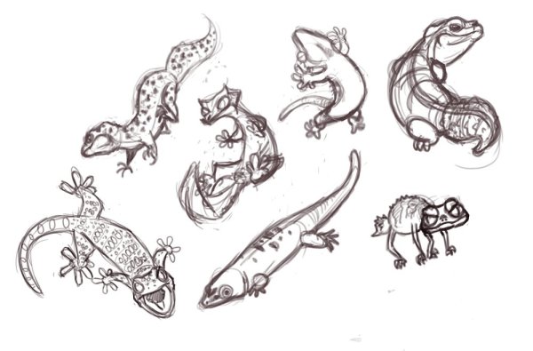 Геккон эублефар референс