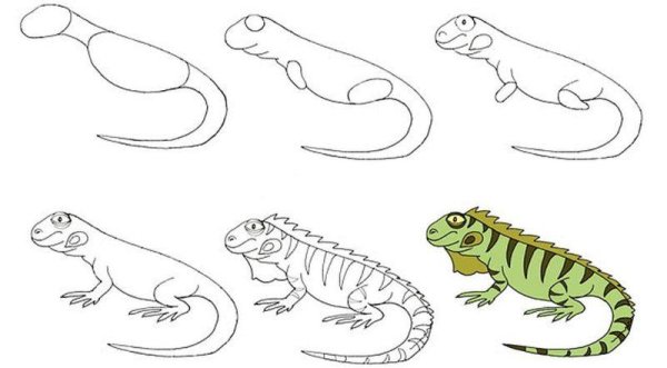 Пошаговое рисование ящерицы