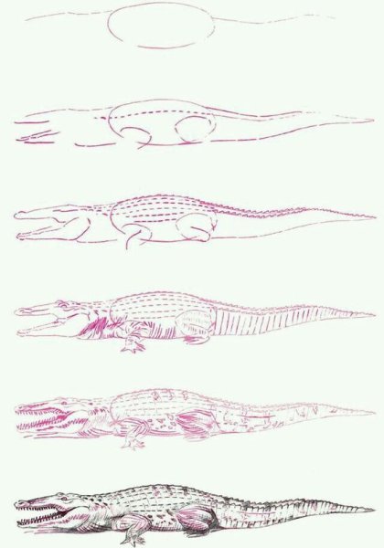 Рисование крокодила с детьми