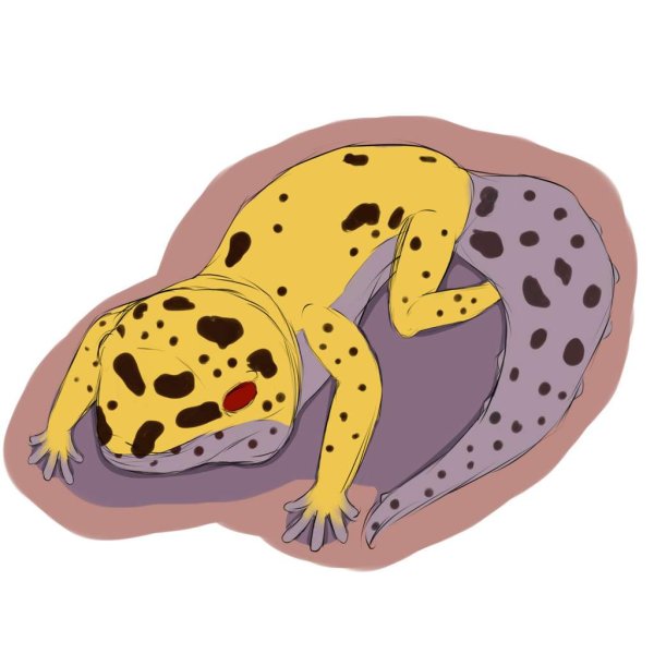 Furry эублефар