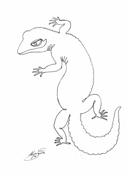 Эублефар нарисовать