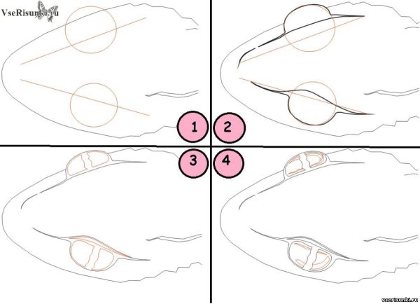 Рисуем ящерицу поэтапно