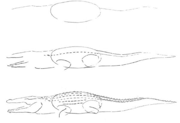 Рисование крокодила с детьми