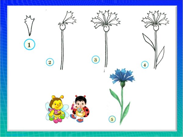 Рисование цветы для дошкольников