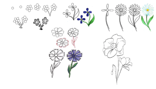 Рисование цветов с разных сторон