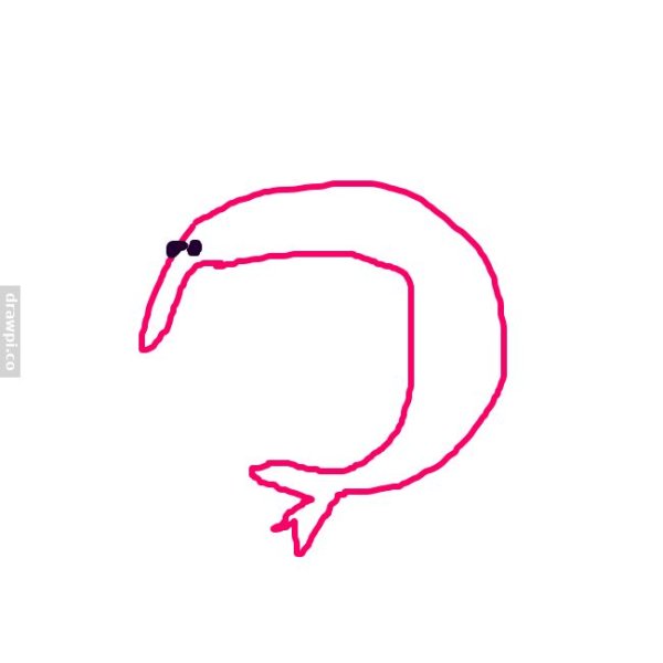 Нарисованная креветка из тик тока