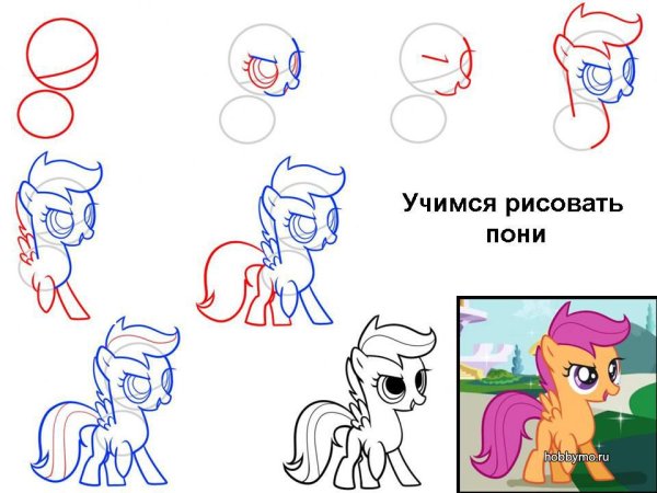 Как нарисовать пони поэтапно