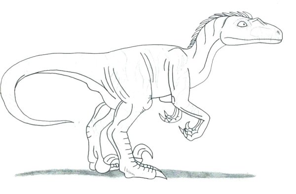 Велоцираптор Блю контур