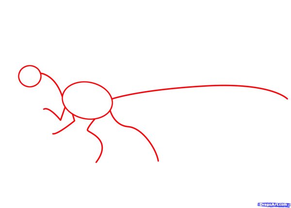 Нарисовать раптора пошагово