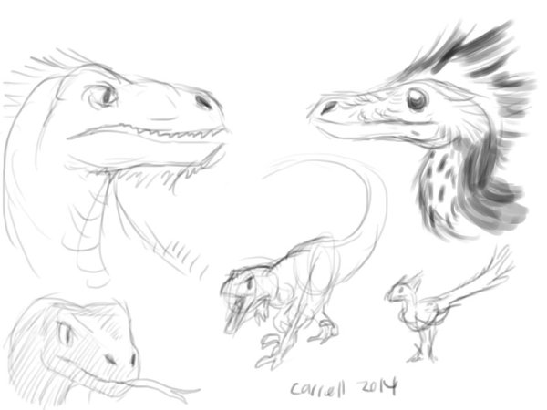 Раптор Наброски