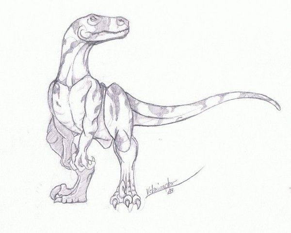 Велоцираптор карандашом