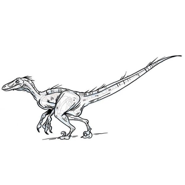 Велоцераптор референс