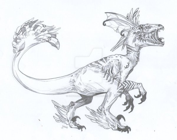 Раптор раскраска с перьями