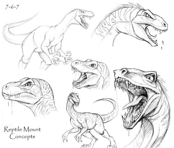 Раптор референс анатомия