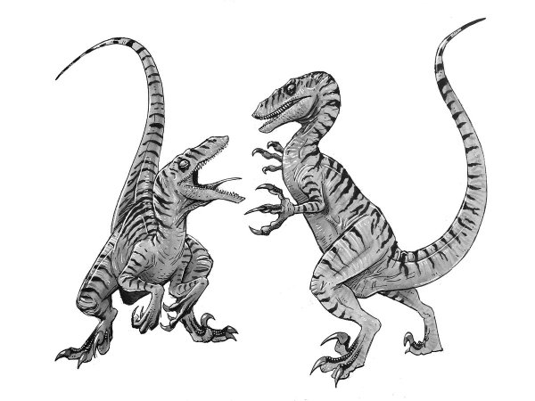 Раптор раскраска