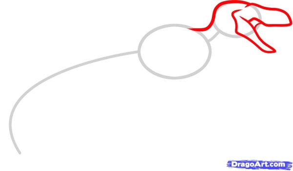 Велоцераптор нарисовать карандашом поэтапно