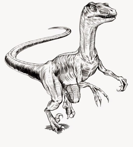Велоцираптор нарисоваьь