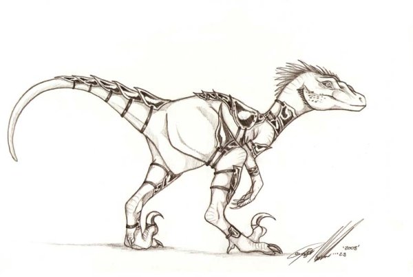 Референс раптора