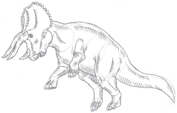 Трицератопс рисунок боком