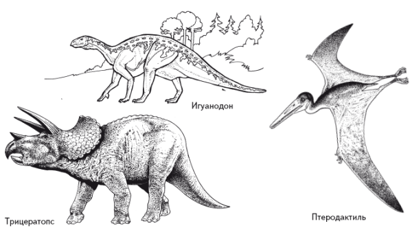 Трицератопс схема рисование