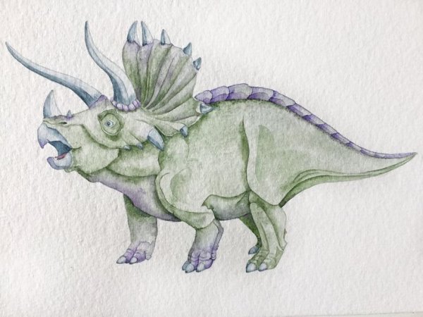 Динозавры карандашом для срисовки