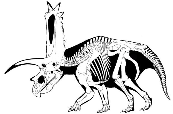 Динозавры рисунок для детей для срисовки
