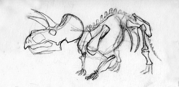 Трицератопс рисунок