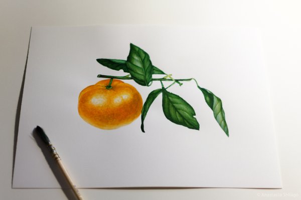 Мандарин карандашом