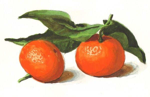 Андрияка фрукты акварелью