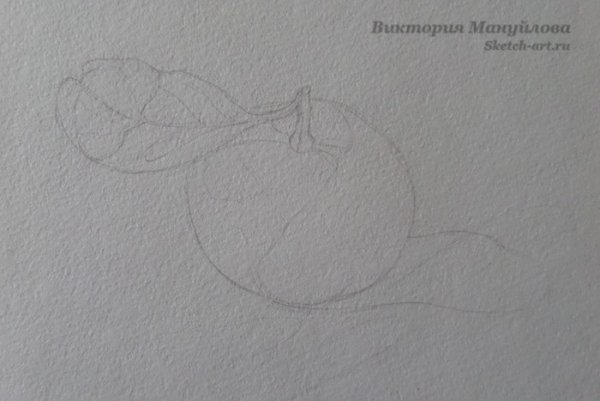 Мандарин карандашом штриховка