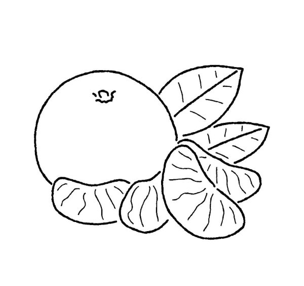 Мандарин раскраска