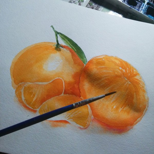 Мандаринка акварелью