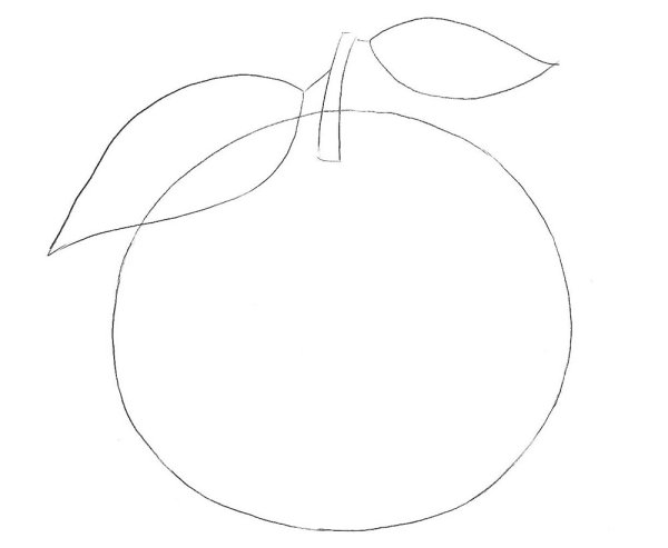 Нарисовать мандарин карандашом