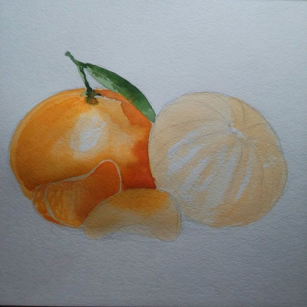 Мандарин акварелью